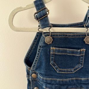 Hanna Andersson Denim Overalls